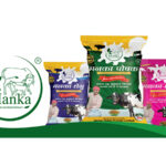 Shivaami Named A  Google Cloud Partner of the Year!